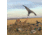 Avery Outdoors M-2 Blind,KW-1 1399