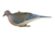 Avery Outdoors Mourning Doves, pair, 72205