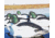 Avery Outdoors Over-Size Goldeneyes, 1/2 dozen, Realistic Postures, 77143