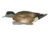 Avery Outdoors PG FFD Elite Wigeons, 1/2 dozen, 74143