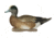Avery Outdoors PG FFD Elite Wigeons, 1/2 dozen, 74143