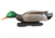 Avery Outdoors PG Mallards-Harvester Pack, 1/2 dozen, 77118