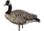 Avian X AXP Goose Decoys, Fusion Honker 6 pk, AVX-AVX9006
