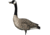 Avian X AXP Goose Decoys, Fusion Honker 6 pk, AVX-AVX9006