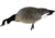 Avian X Feeder Pack APX Lessers Decoy, AVX-AVX9007