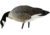 Avian X Feeder Pack APX Lessers Decoy, AVX-AVX9007