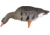 Avian X Fusion Pack AXP Specklebelly Decoy, AVX-AVX9014
