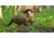Avian X HDR Feeding Hen Decoy, Synthetic, AVXAVX8107