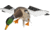 Avian X Spinning Wing Duck Decoys, AVX-AVXDP101