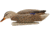 Avian X Top Flight Duck Decoy, Back Water Mallard, 6 pk, AVX-AVX8070