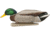 Avian X Top Flight Duck Decoy, Back Water Mallard, 6 pk, AVX-AVX8070