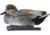 Avian X Topflight Gadwall Decoy, AVX-AVX8085