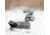 Avian X Topflight Gadwall Decoy, AVX-AVX8085