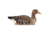 Avian X Topflight Specklebelly Floaters 4 Pack, AVX-SBGF-4PK