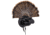 Avian X Turkey Trophy Tom Display Mount/Decoy, Black, AVX-AVX8021