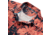 AVID Sportswear Palapa Shirt - Mens, Brick, Extra Large, MV12400BRKXL