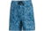 AVID Sportswear Youth Tortuga Volley Shorts - Boys, Clearwater Abyss, Small/Medium, YS12400CWASM