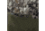 Badlands Rise Pro Pants - Mens, Approach Gt, Lg Tall, 21-44023