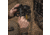 Badlands Vertical Pocket, Mud, 21-42515