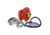 Balmar Alternator 3.15" Dual Foot Saddle K6 Serpentine Pulley Regulator &amp; Temp Sensor - 170A Kit - 12V 74949