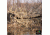 Banded Axe Blind Camo Skin - Cattail - Regular, B08696
