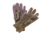 Banded Fleece Gloves - Womens, Bottomland, Large, B2070003-BL-L