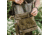Barebones Foraging Bag, Dark Khaki, GDN-099