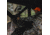 Barronett Blinds Big Cat Hunting Blind, Backwoods Camouflage BC350BW