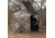 Barronett Blinds Feather Five Hub Hunting Blind, Bloodtrail Backwoods, 4-Person, FF500BW