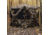 Barronett Blinds Pentagon Hunting Blind, Crater Harvest, 72 x 96 x 96, PTHD550CH