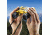 Barska Colorado Series 10x25 Compact Waterproof Roof Prism Binoculars, Yellow CO10696