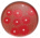 BD BBL Sensi-Disc Antimicrobial Susceptibility Test Discs, BD Diagnostic Systems 231696 Cefepime