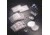 BD BioCoat Cellware, Collagen Type IV, BD Biosciences 354453 Culture Dishes 100 Mm