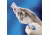 BD Syringes with BD Luer-Lok Tip, BD Medical 309604