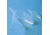 Bel-Art Scoops, Polypropylene, SCIENCEWARE 367530000