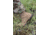 Belleville Khyber Hot Weather Multi-Terrain Boot - Mens, Coyote, 10, Wide, TR550 100W