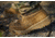Belleville Waterproof Flight &amp; Combat Boot - Mens, Coyote, 6.5, Regular, C790 065R