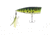 Berkley Bullet Pop Hard Bait, Size 70, 2.75in, MF Frog, 70, 1487172