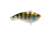 Berkley Jack Hard Baits, Ghost Chrome Gill, 7, 1624122