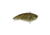 Berkley Jack Hard Baits, HD Goby, 6, 1624102