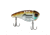 Berkley ThinFisher Hard Baits, 1.5in, Ghost Bluegill, 1594995