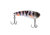 Berkley ThinFisher Hard Baits, 1.75in, Bad Perch, 1595014