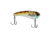 Berkley ThinFisher Hard Baits, 1.75in, Ghost Bluegill, 1595009