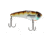 Berkley ThinFisher Hard Baits, 2.25in, Ghost Bluegill, 1595023