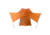 Big Agnes Copper Spur UL2 XL Tent, Tangelo/Mercury, 2 Person, TCSUL2XLTGM25