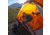 Big Agnes Lost Ranger 3N1 15 Sleeping Bag, Mercury/Tangelo, Small, BLR3N1S1525