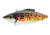 Bill Lewis Rat-L-Trap Hard Bait, Brown Trout, 1/2 oz, BLF-RT283