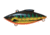 Bill Lewis Tiny-Trap Hard Bait, Black Caterpillar, 1/8 oz, BLF-TT274