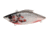 Bill Lewis Tiny-Trap Hard Bait, white Bleeding Shad, 1/8 oz, BLF-TT376