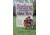 Birding In Cen. &amp; West Ny, Norman E. Wolfe, Publisher - Footprint Press